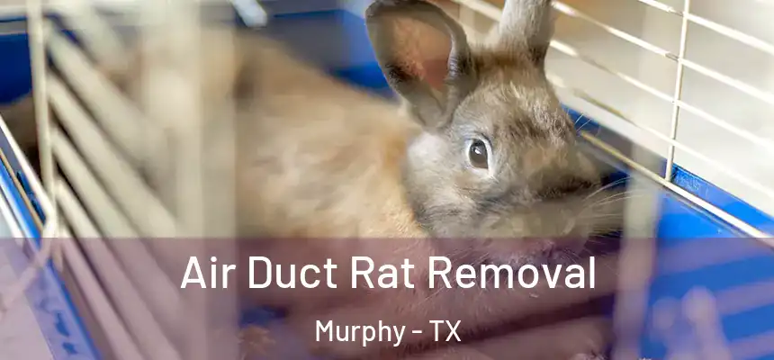Air Duct Rat Removal Murphy - TX