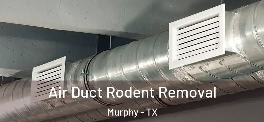 Air Duct Rodent Removal Murphy - TX