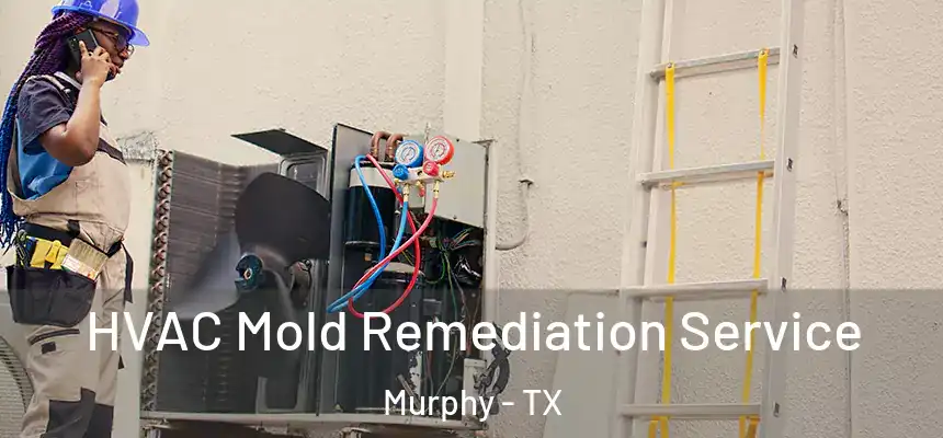HVAC Mold Remediation Service Murphy - TX
