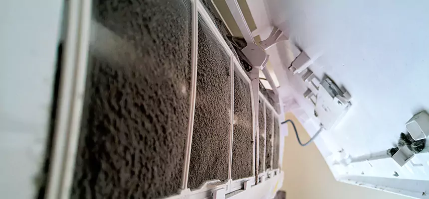 Preventive Air Duct Bacteria Removal in Murphy