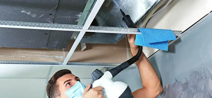 Our Air Duct Rodent Removal Services in Murphy, TX