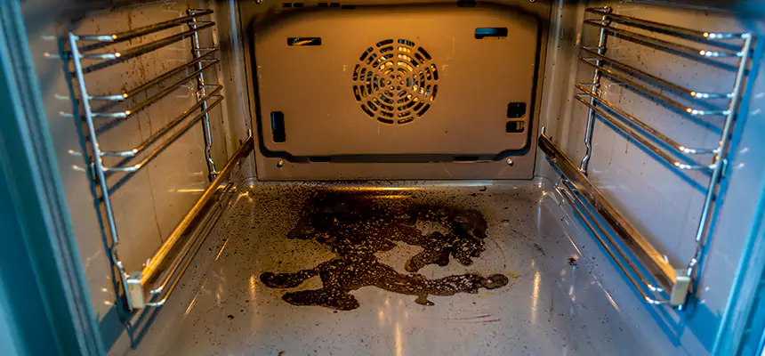 Our Dryer Vent Mold Cleaning Services in Murphy, TX