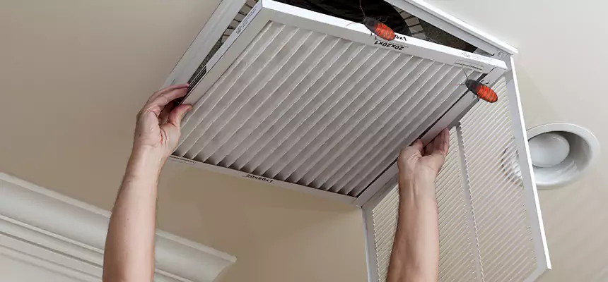 Our Insect Removal from Air Ducts Services in Murphy, TX