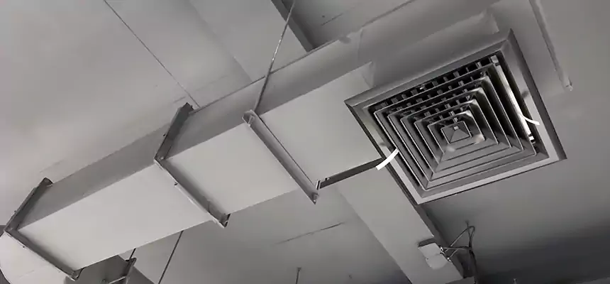 Our Pest Removal From Ducts Services in Murphy, TX