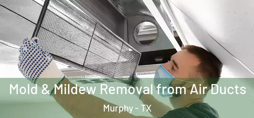 Mold & Mildew Removal from Air Ducts Murphy - TX