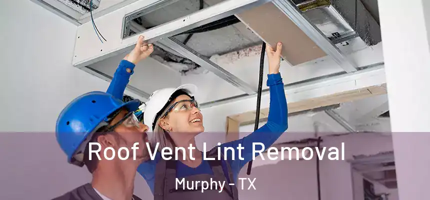 Roof Vent Lint Removal Murphy - TX
