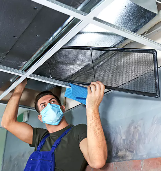 About Air Duct Bacteria Removal in Murphy