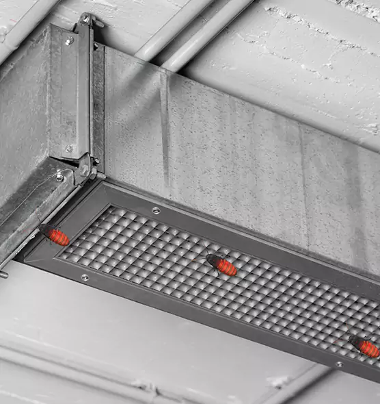 About Air Duct Cockroach Removal in Murphy, TX