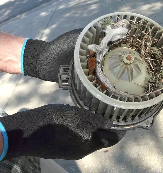 About Air Duct Mice Removal in Murphy, TX