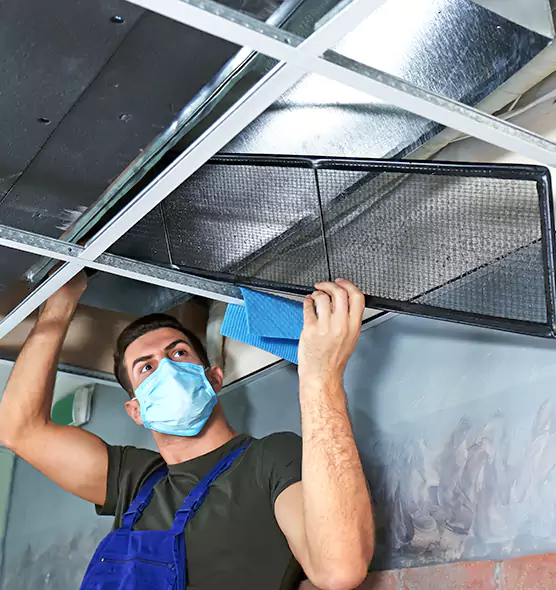 Professional Air Duct Pollen Cleaning in Murphy, TX