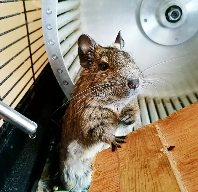 Why Homeowners & Businesses Trust Us Murphy, TX?