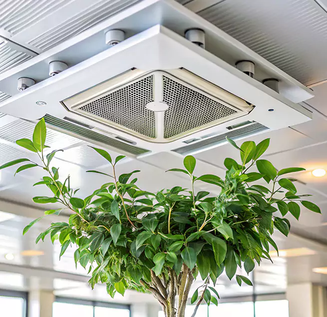 Why Homeowners & Businesses Trust Us in Murphy, TX?