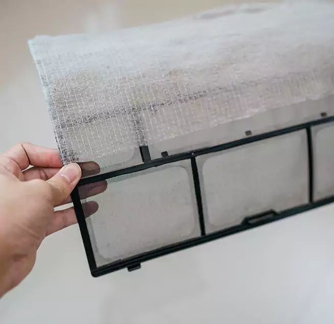 Why Homeowners & Businesses Trust Us in Murphy, TX?