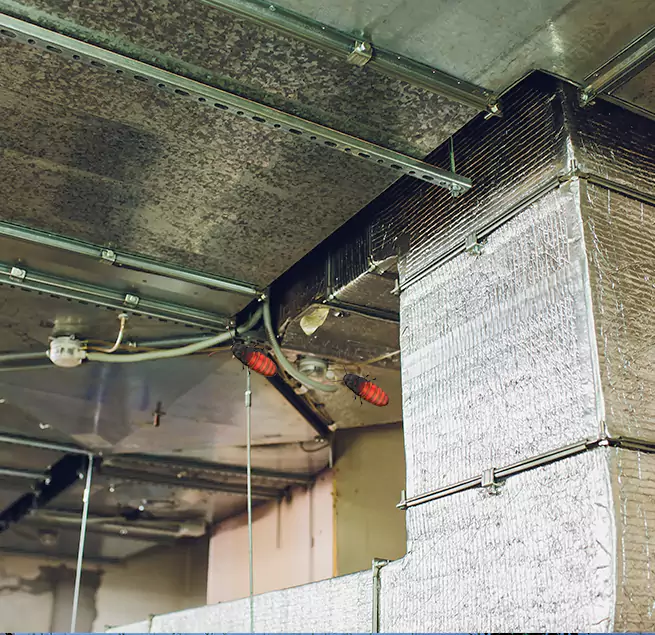 Why Homeowners & Businesses Trust Us Murphy, TX?