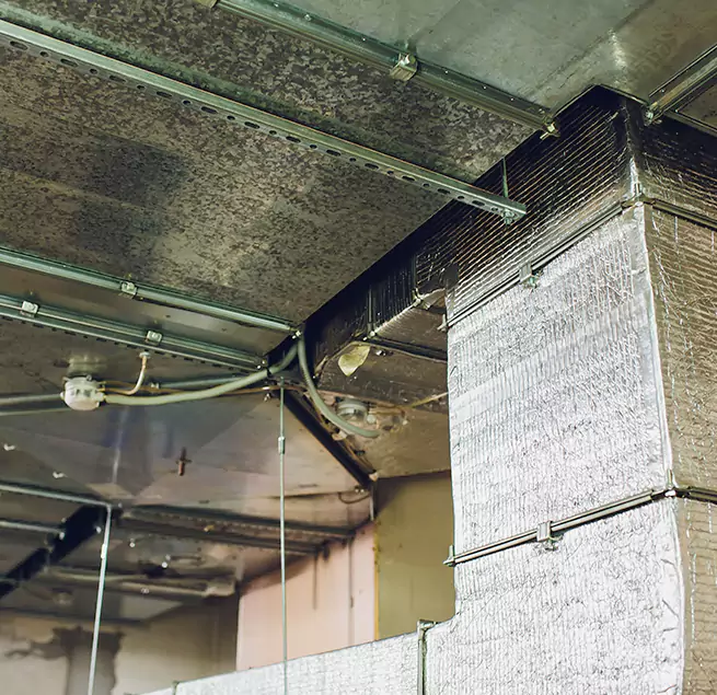 Why Homeowners & Businesses Trust Us in Murphy, TX?